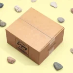 Kraft carton box with custom printed logo